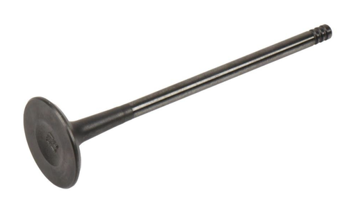 [30-356] VALVULA GM GENUINE 55569450